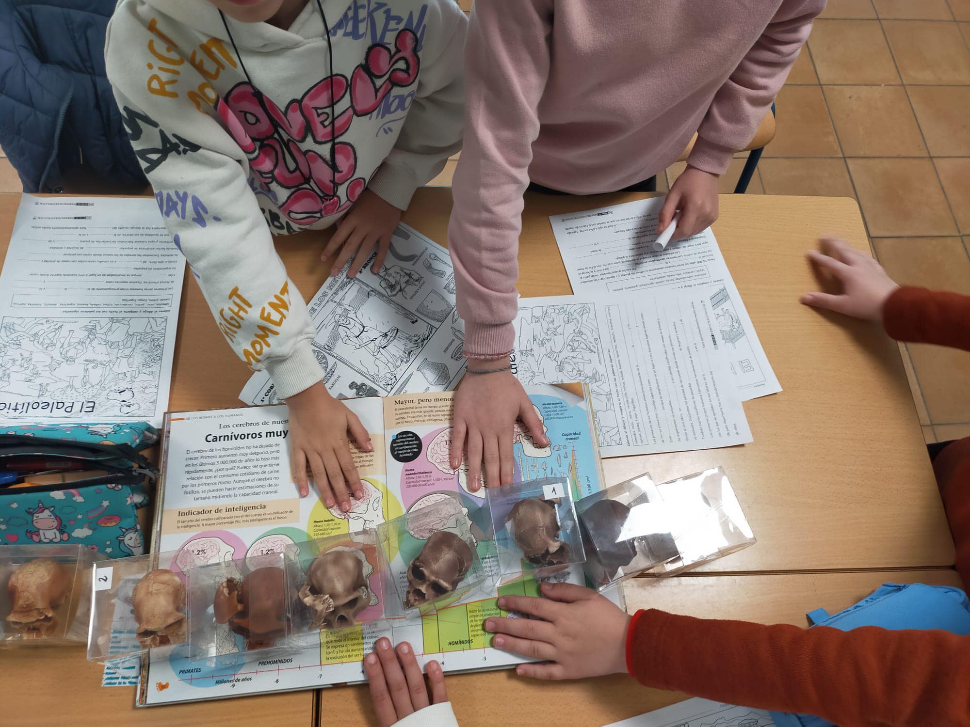 431411532_999108198612548_2713672030697846081_n