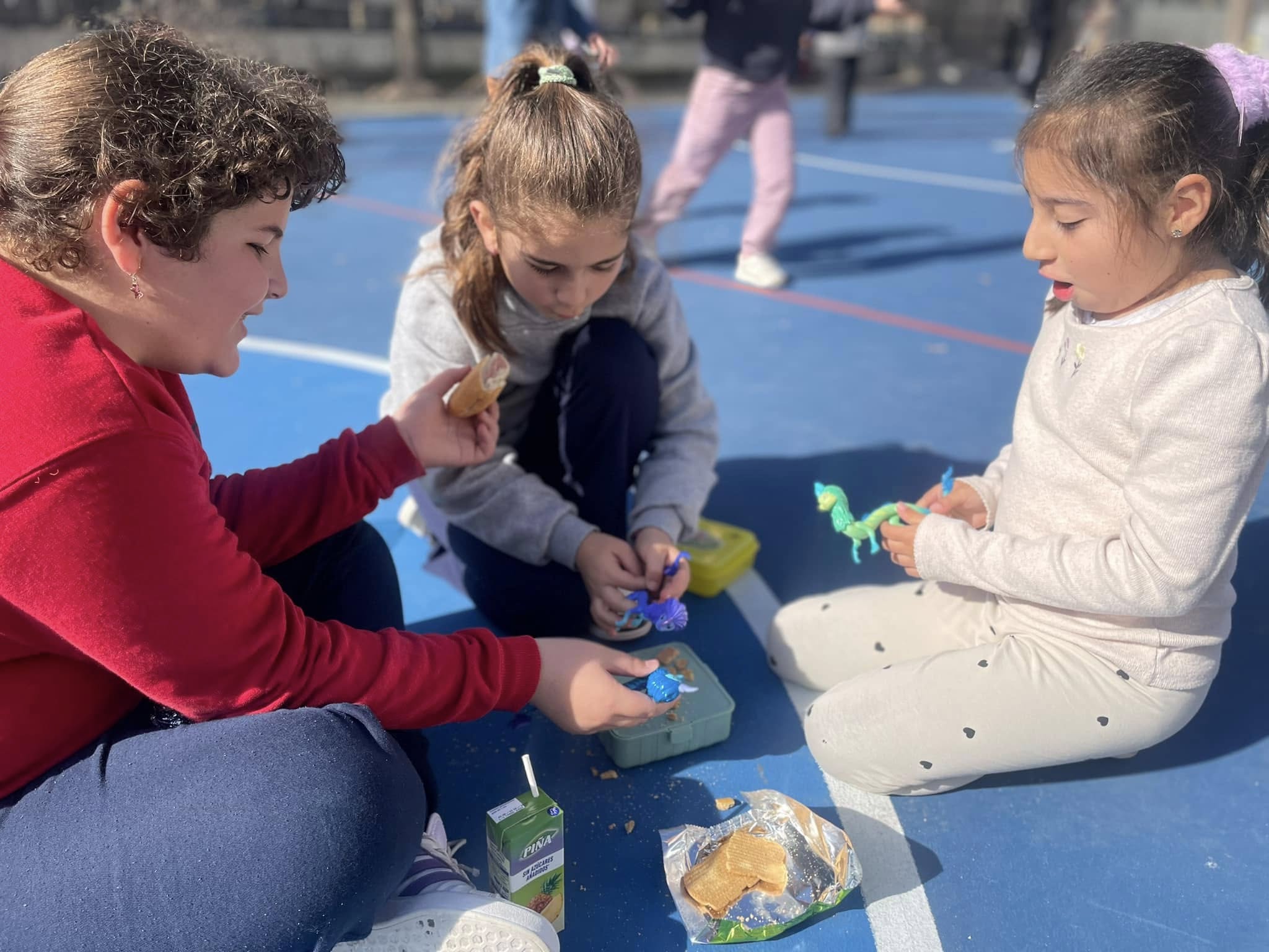 477580492_1246025747254124_2366882902161623311_n