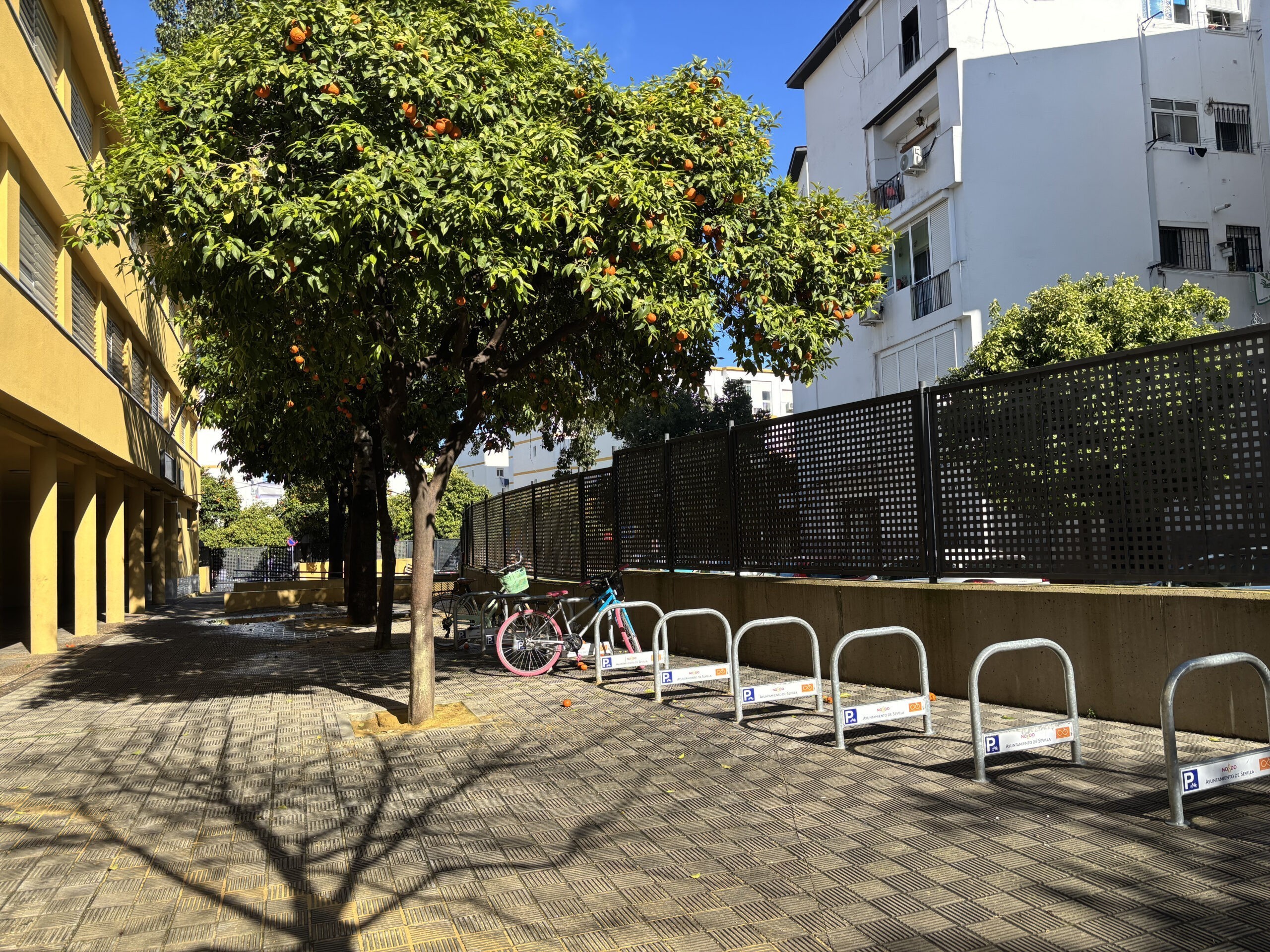 20250318 BICICLETEROS