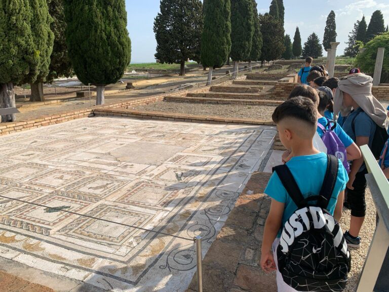 493311131_1309879824202049_6906256104886195967_n