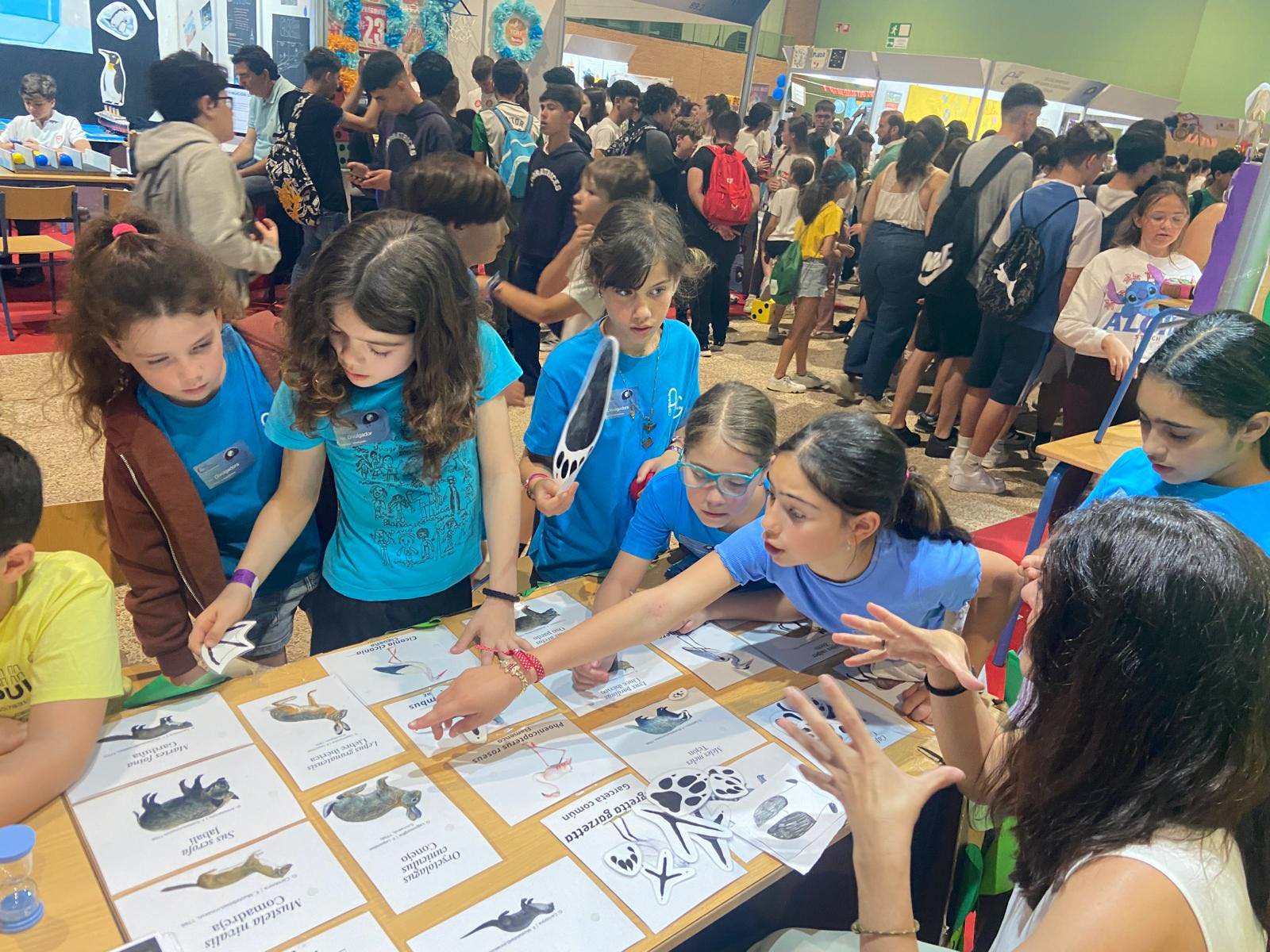 493316579_1309936464196385_1097623342846878201_n