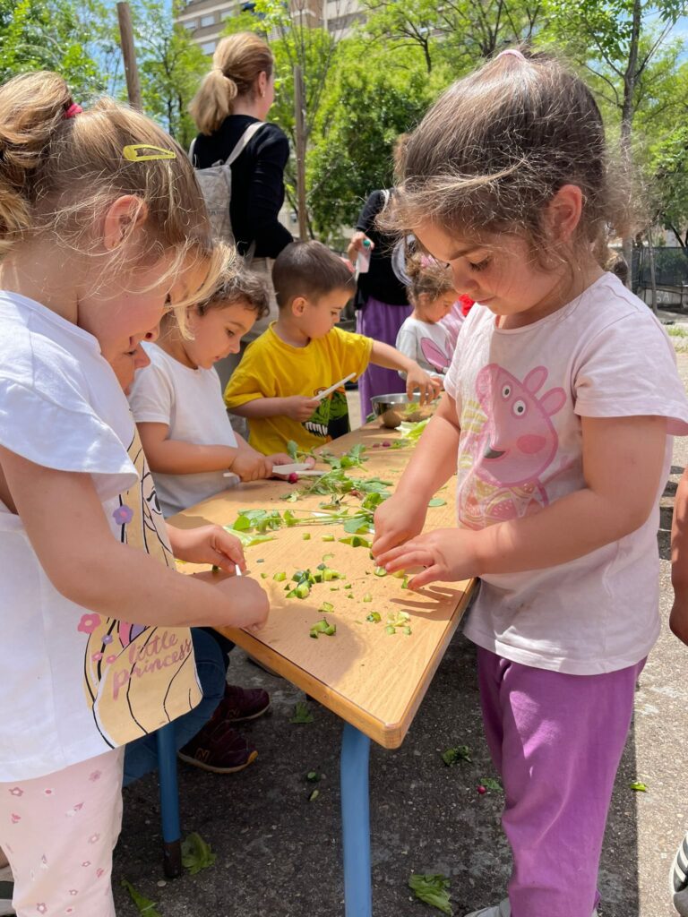 496318209_1324230276100337_465424267691300108_n