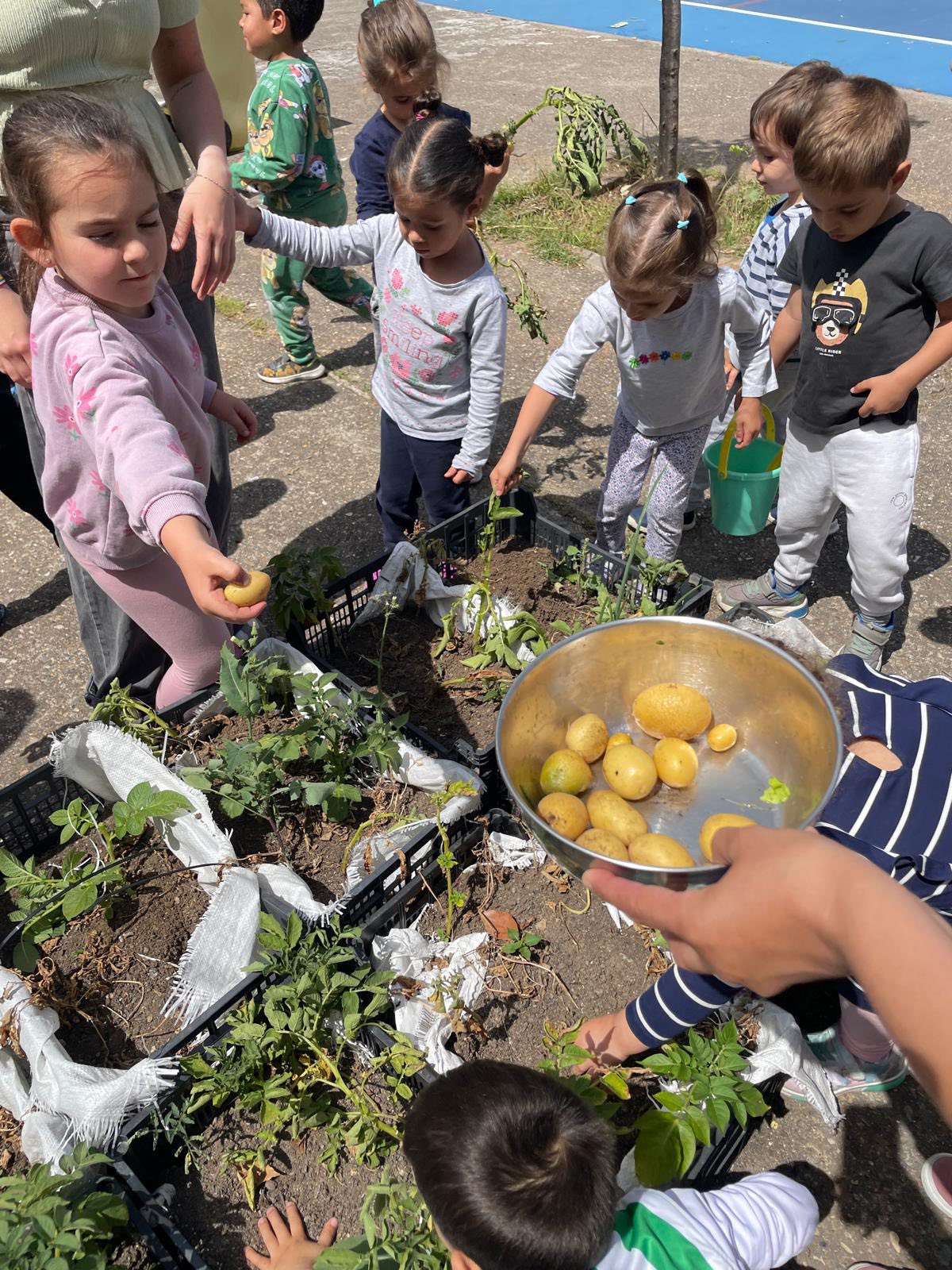 496789157_1324229679433730_3622409964913724702_n