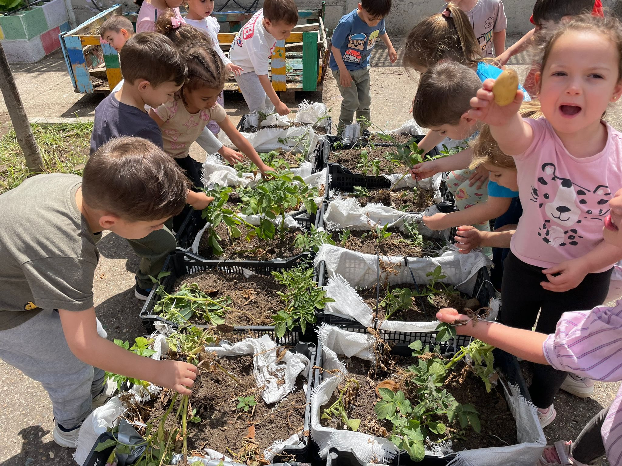 496857785_1324230166100348_467635018328666888_n