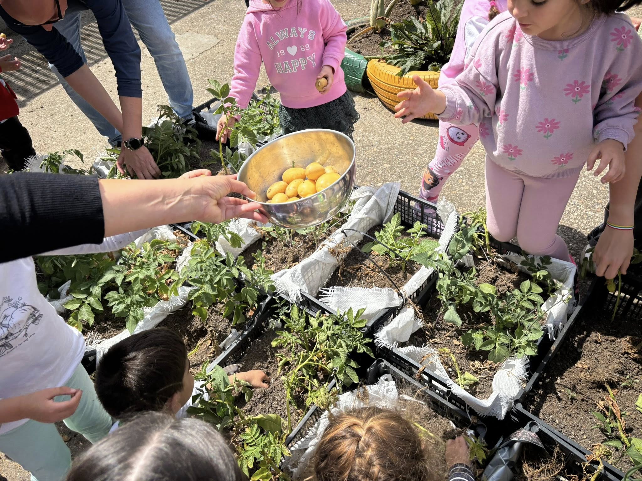 496858917_1324229742767057_1097722189612529472_n