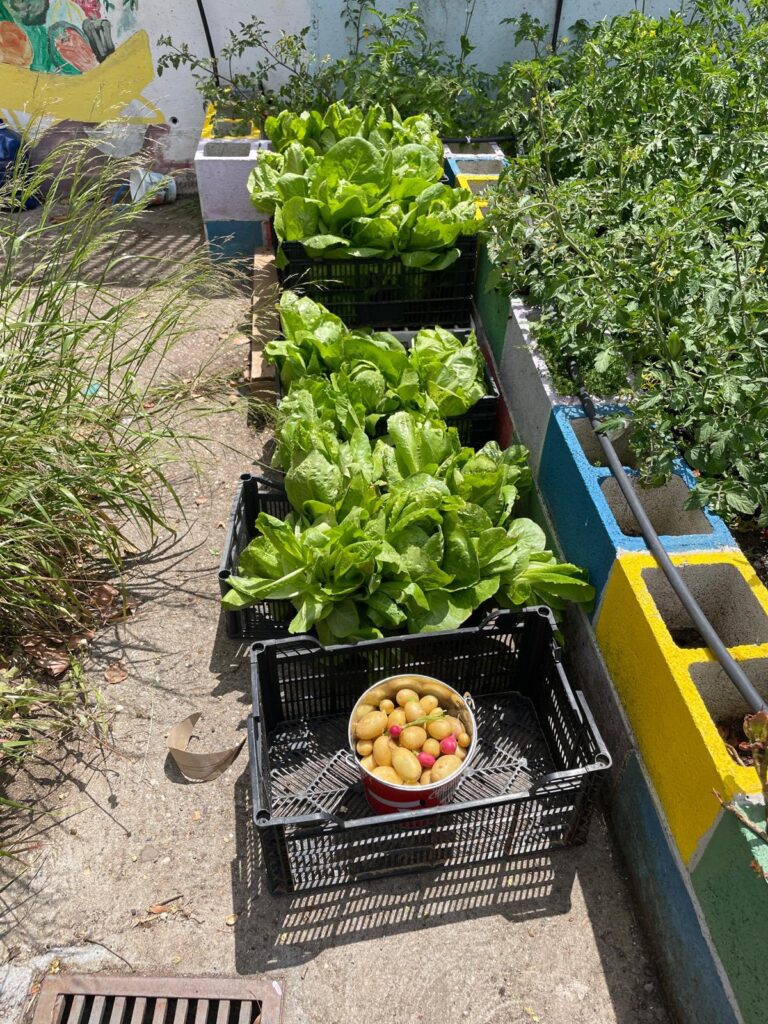 496859377_1324229776100387_3745339155553797072_n