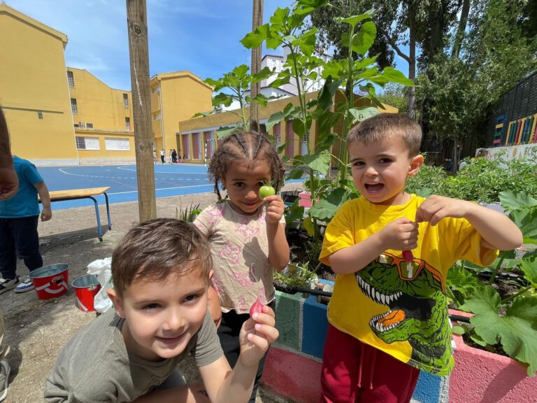 496859424_1324230062767025_8862562912296065248_n