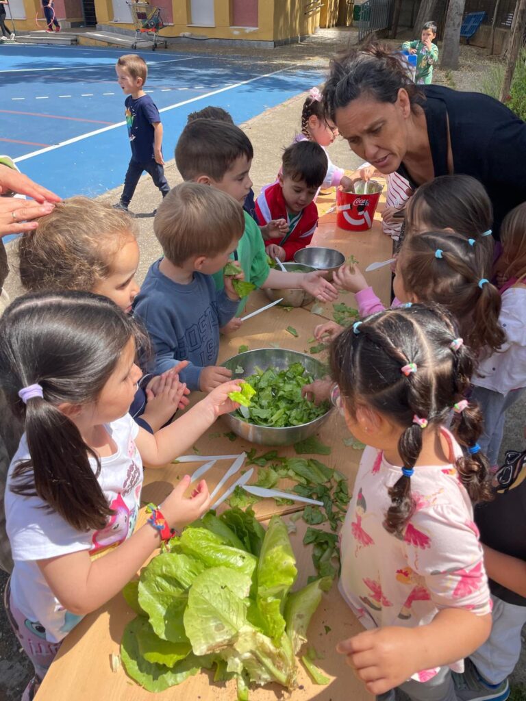 496862188_1324230196100345_5700896049597359714_n