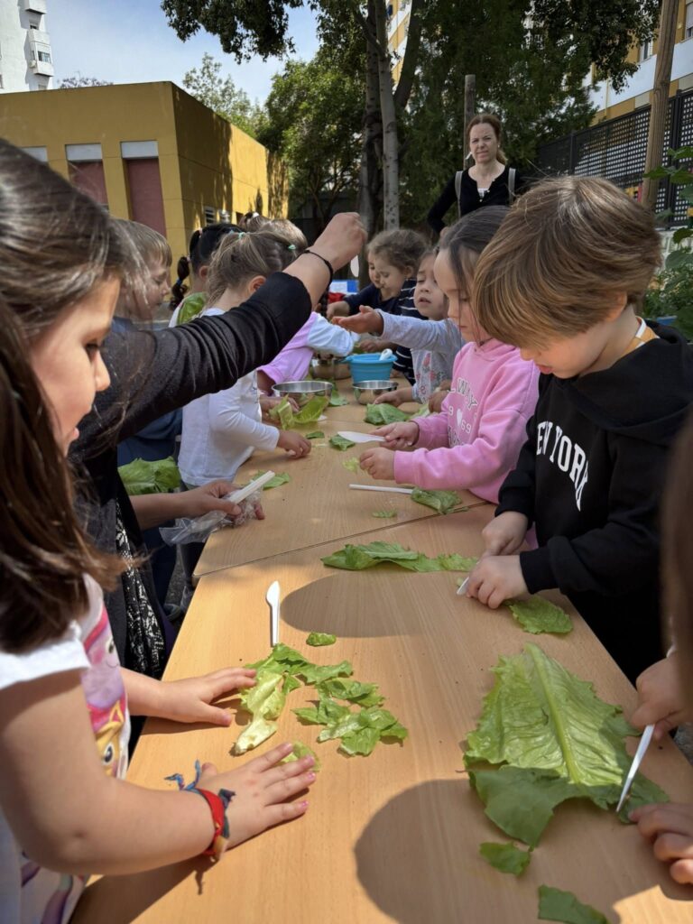 496866225_1324229959433702_396417464463087374_n