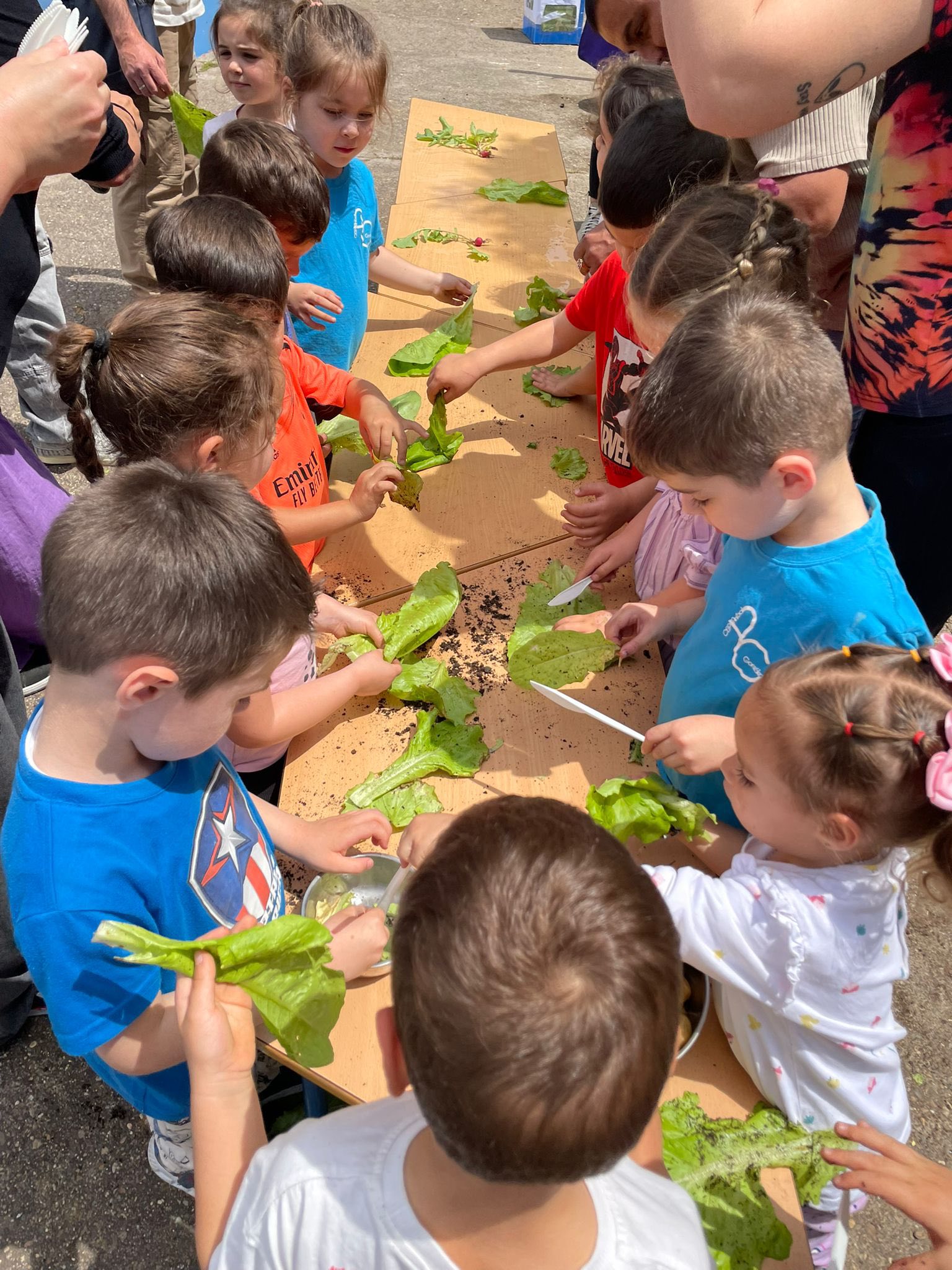 496946828_1324229979433700_1180501061126713744_n