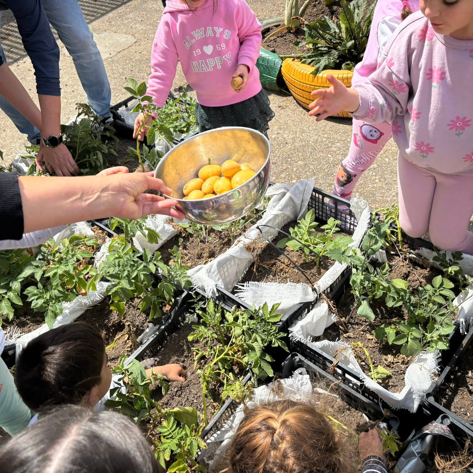 Hoy cosechamos lo que sembramos